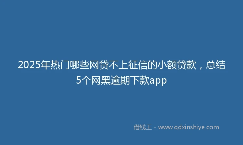 2025年热门哪些网贷不上征信的小额贷款，总结5个网黑逾期下款app
