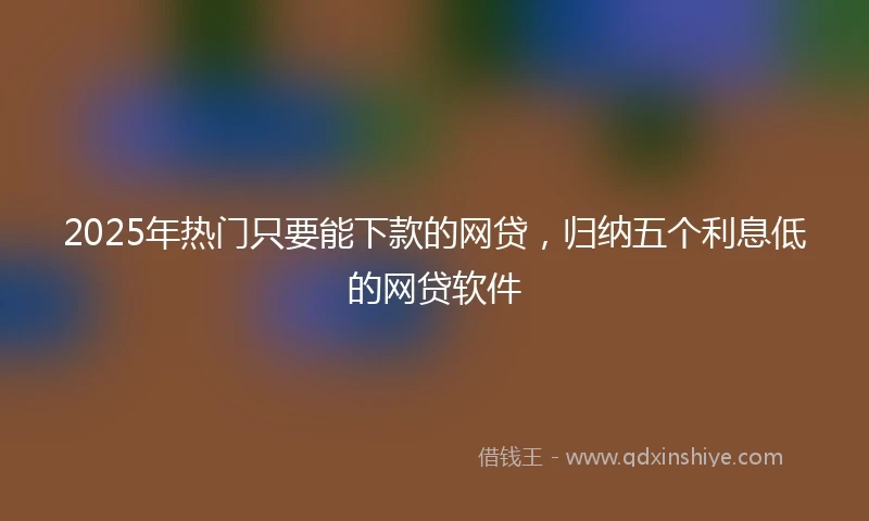 2025年热门只要能下款的网贷，归纳五个利息低的网贷软件