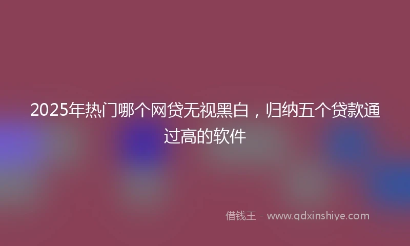 2025年热门哪个网贷无视黑白,归纳五个贷款通过高的软件