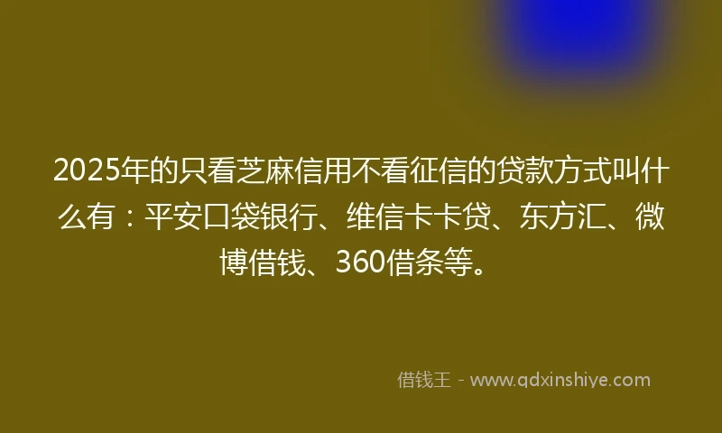 2025年的只看芝麻信用不看征信的贷款方式叫什么有：平安口袋银行、维信卡卡贷、东方汇、微博借钱、360借条等。