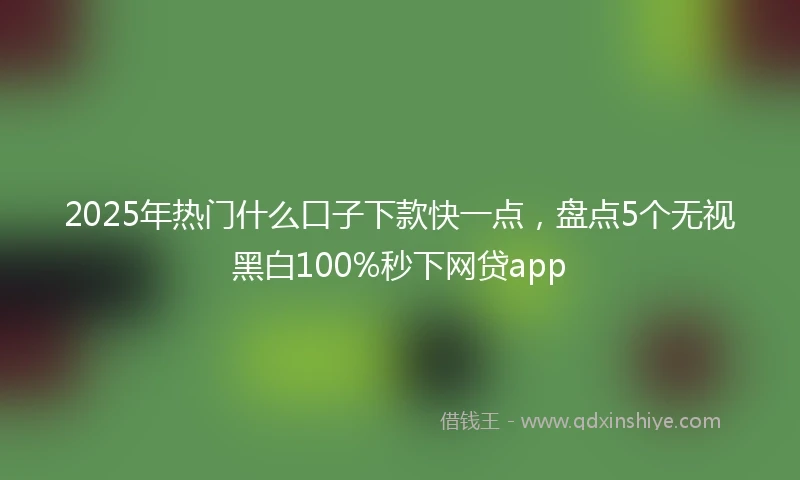 2025年热门什么口子下款快一点，盘点5个无视黑白100%秒下网贷app