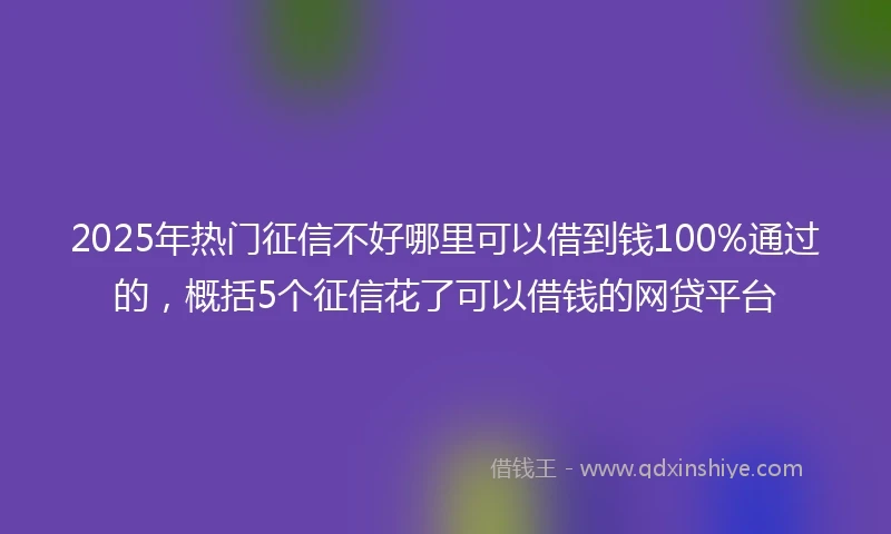 2025年热门征信不好哪里可以借到钱100%通过的，概括5个征信花了可以借钱的网贷平台