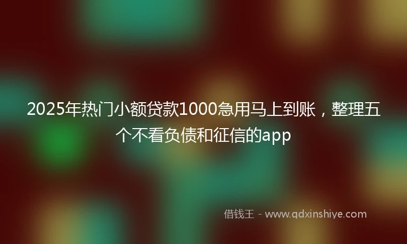2025年热门小额贷款1000急用马上到账，整理五个不看负债和征信的app