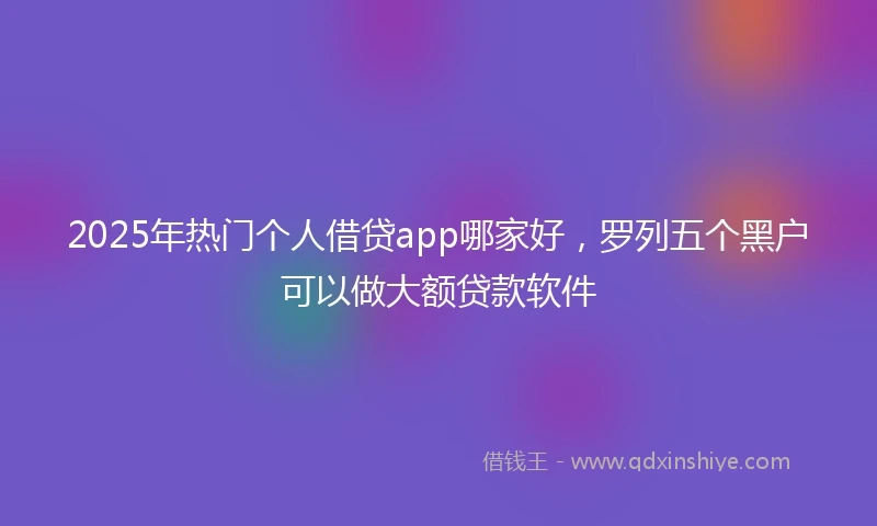 2025年热门个人借贷app哪家好，罗列五个黑户可以做大额贷款软件