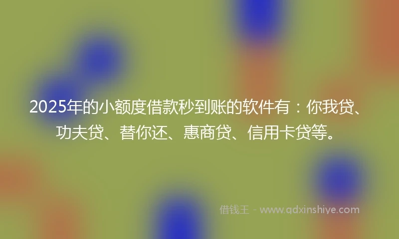 2025年的小额度借款秒到账的软件有：你我贷、功夫贷、替你还、惠商贷、信用卡贷等。