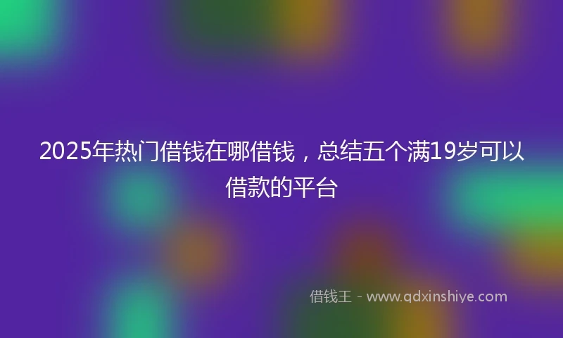 2025年热门借钱在哪借钱，总结五个满19岁可以借款的平台