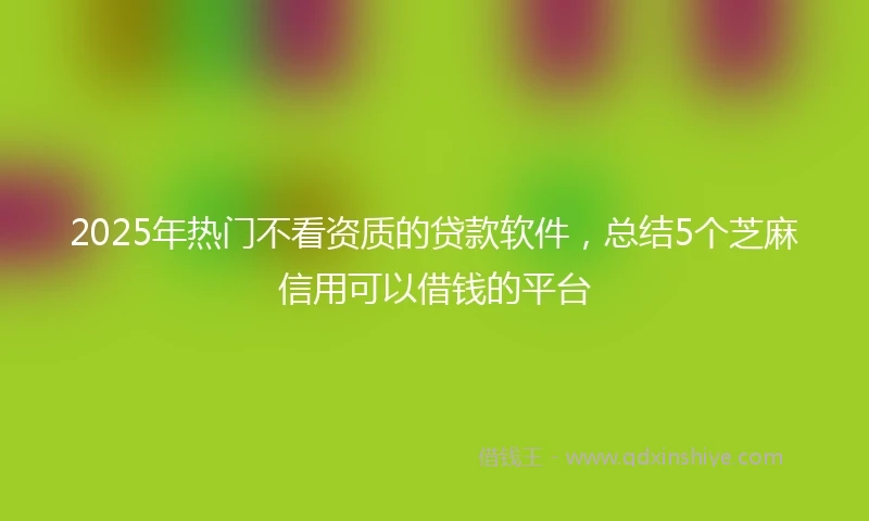2025年热门不看资质的贷款软件，总结5个芝麻信用可以借钱的平台