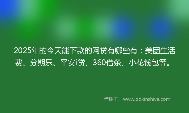 2025年的今天能下款的网贷有哪些有：美团生活费、分期乐、平安i贷、360借条、小花钱包等。