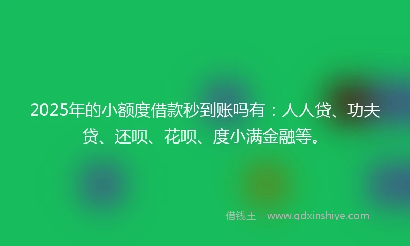 2025年的小额度借款秒到账吗有：人人贷、功夫贷、还呗、花呗、度小满金融等。