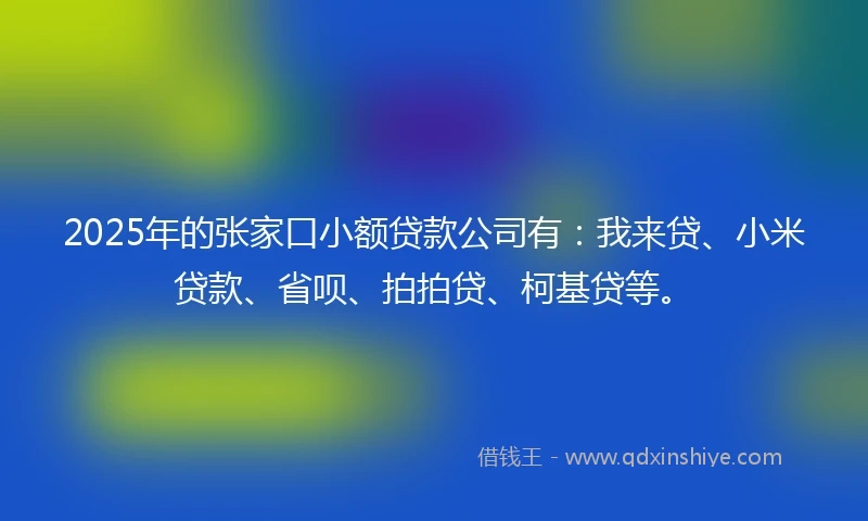 2025年的张家口小额贷款公司有：我来贷、小米贷款、省呗、拍拍贷、柯基贷等。