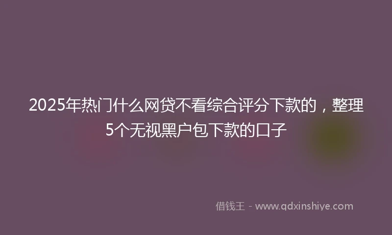 2025年热门什么网贷不看综合评分下款的，整理5个无视黑户包下款的口子