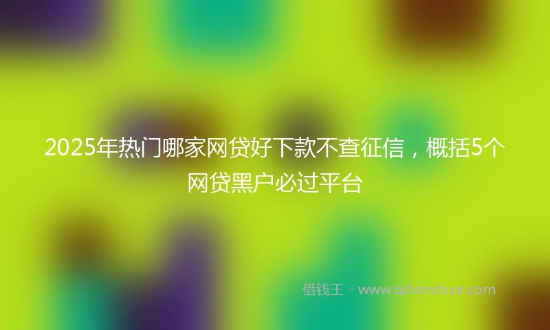 2025年热门哪家网贷好下款不查征信，概括5个网贷黑户必过平台