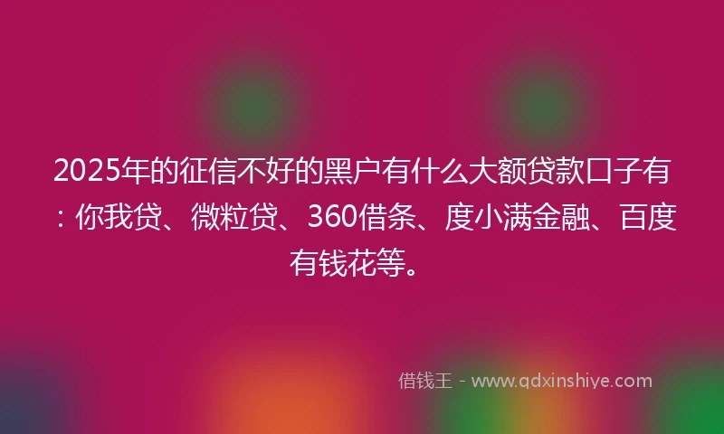 2025年的征信不好的黑户有什么大额贷款口子有：你我贷、微粒贷、360借条、度小满金融、百度有钱花等。