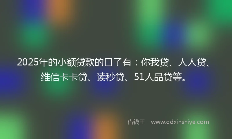 2025年的小额贷款的口子有：你我贷、人人贷、维信卡卡贷、读秒贷、51人品贷等。