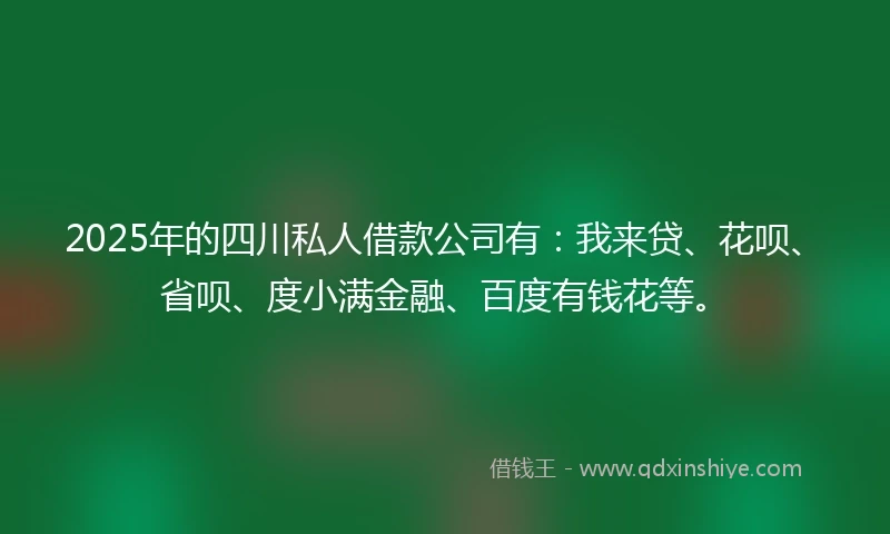 2025年的四川私人借款公司有：我来贷、花呗、省呗、度小满金融、百度有钱花等。
