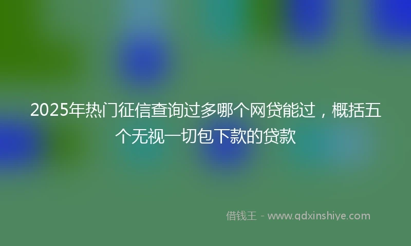 2025年热门征信查询过多哪个网贷能过，概括五个无视一切包下款的贷款