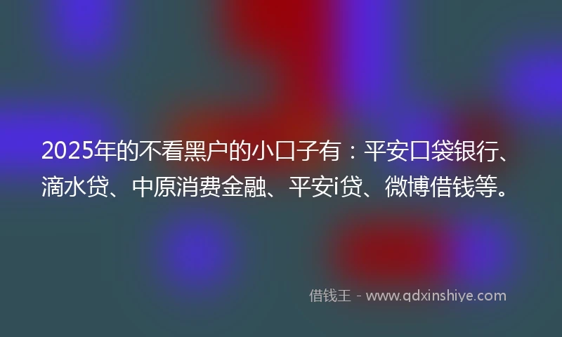 2025年的不看黑户的小口子有：平安口袋银行、滴水贷、中原消费金融、平安i贷、微博借钱等。