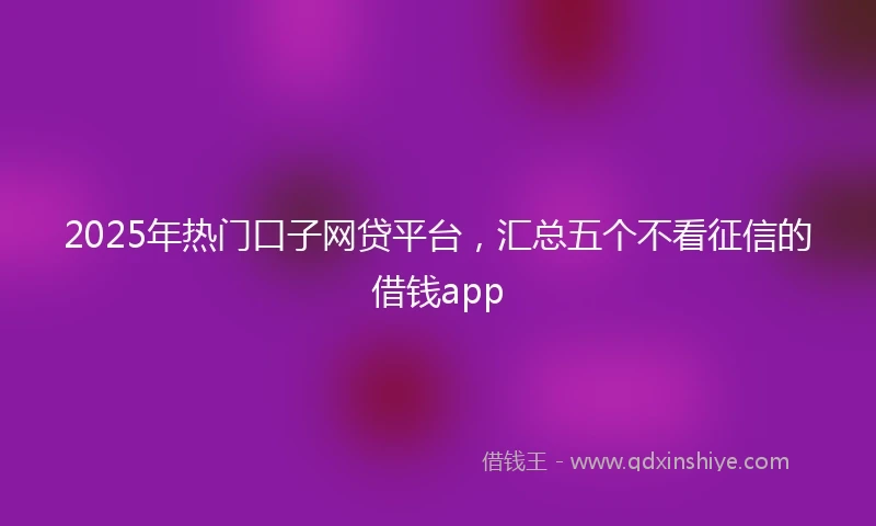 2025年热门口子网贷平台，汇总五个不看征信的借钱app