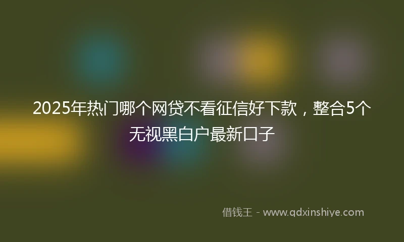 2025年热门哪个网贷不看征信好下款，整合5个无视黑白户最新口子