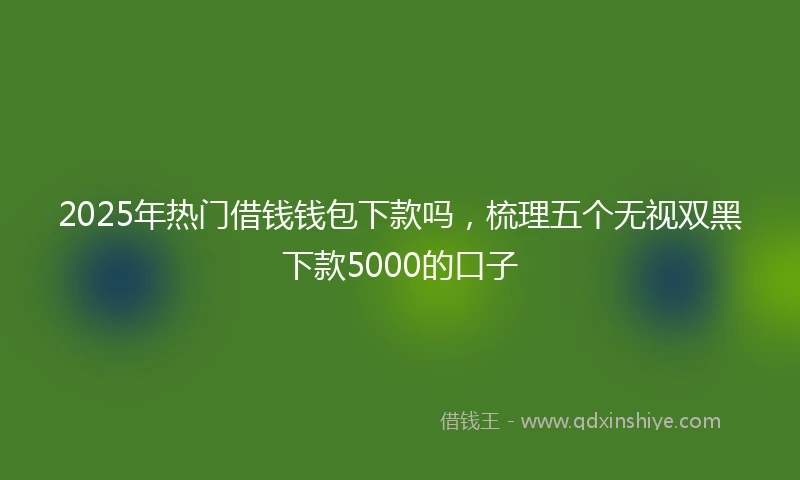 2025年热门借钱钱包下款吗，梳理五个无视双黑下款5000的口子