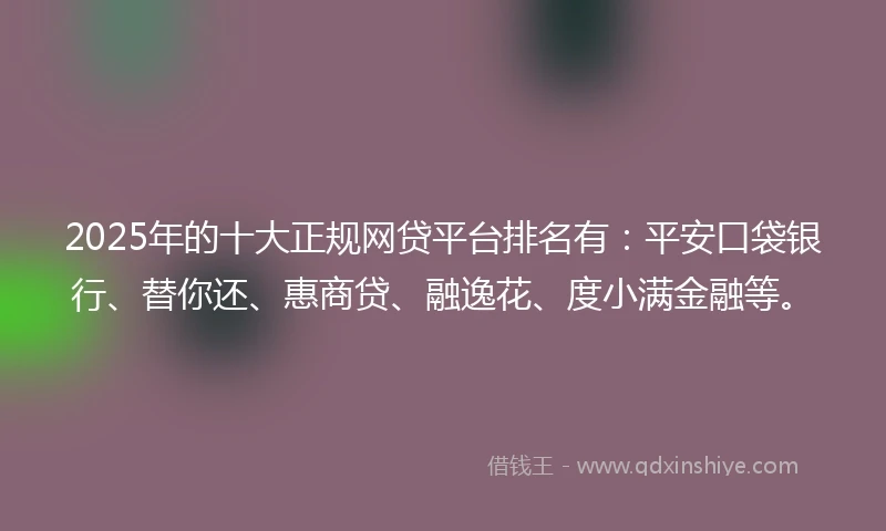 2025年的十大正规网贷平台排名有：平安口袋银行、替你还、惠商贷、融逸花、度小满金融等。