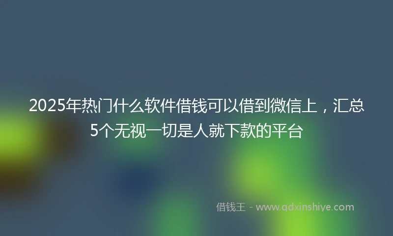 2025年热门什么软件借钱可以借到微信上，汇总5个无视一切是人就下款的平台