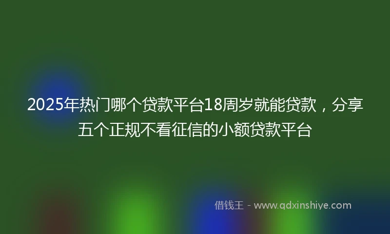 2025年热门哪个贷款平台18周岁就能贷款，分享五个正规不看征信的小额贷款平台