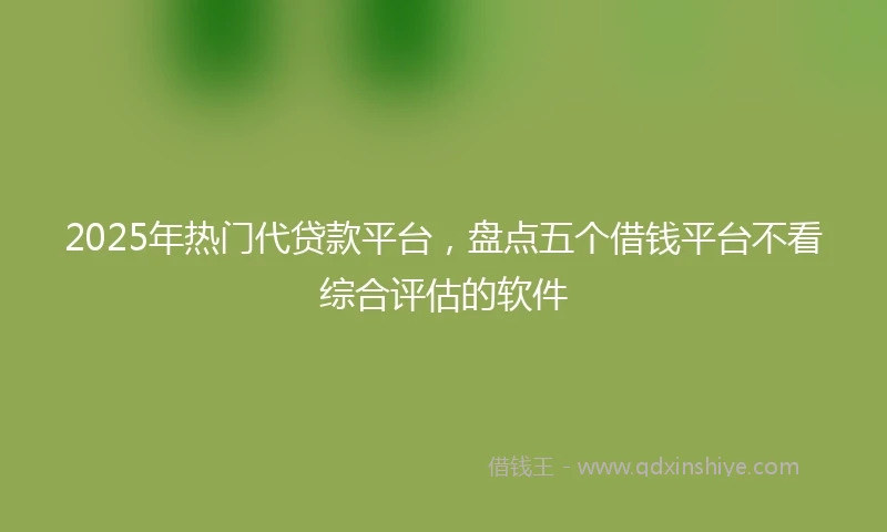 2025年热门代贷款平台，盘点五个借钱平台不看综合评估的软件