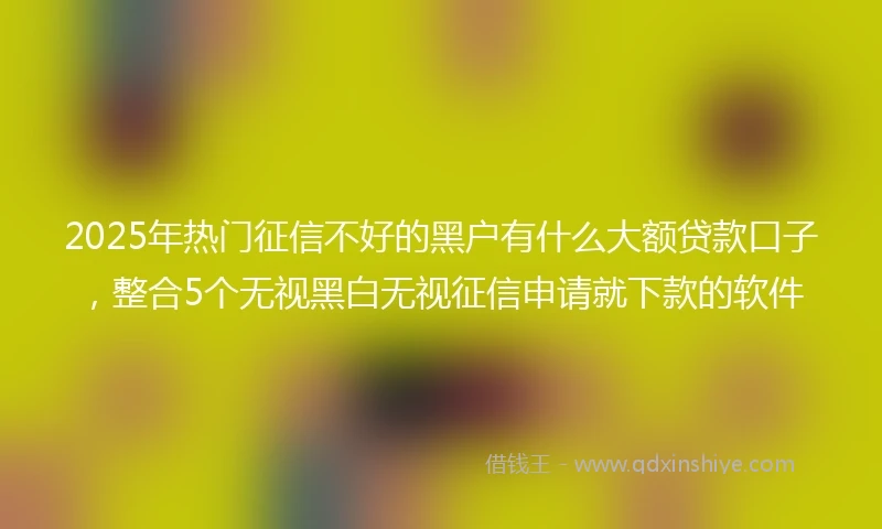 2025年热门征信不好的黑户有什么大额贷款口子，整合5个无视黑白无视征信申请就下款的软件