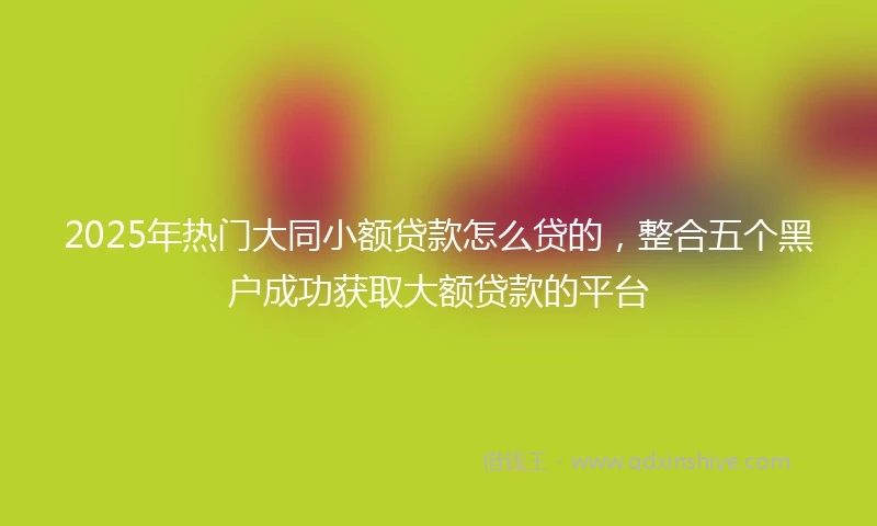 2025年热门大同小额贷款怎么贷的，整合五个黑户成功获取大额贷款的平台