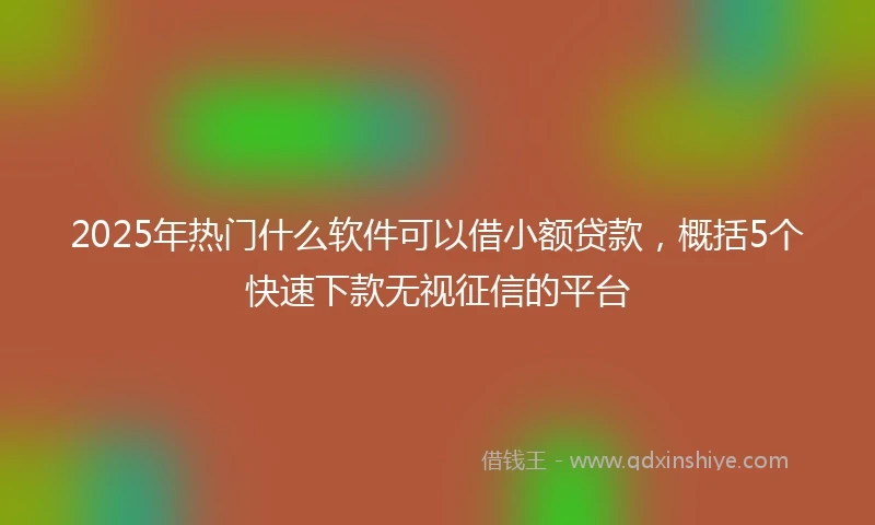 2025年热门什么软件可以借小额贷款，概括5个快速下款无视征信的平台