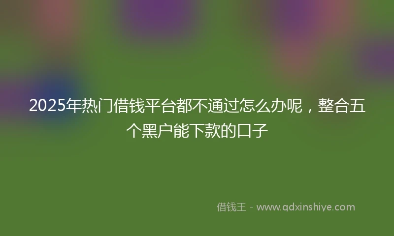 2025年热门借钱平台都不通过怎么办呢，整合五个黑户能下款的口子