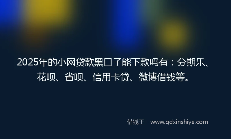 2025年的小网贷款黑口子能下款吗有：分期乐、花呗、省呗、信用卡贷、微博借钱等。