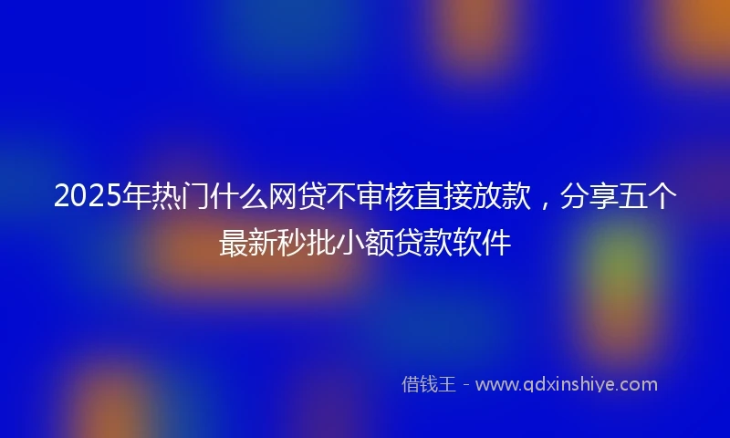 2025年热门什么网贷不审核直接放款，分享五个最新秒批小额贷款软件