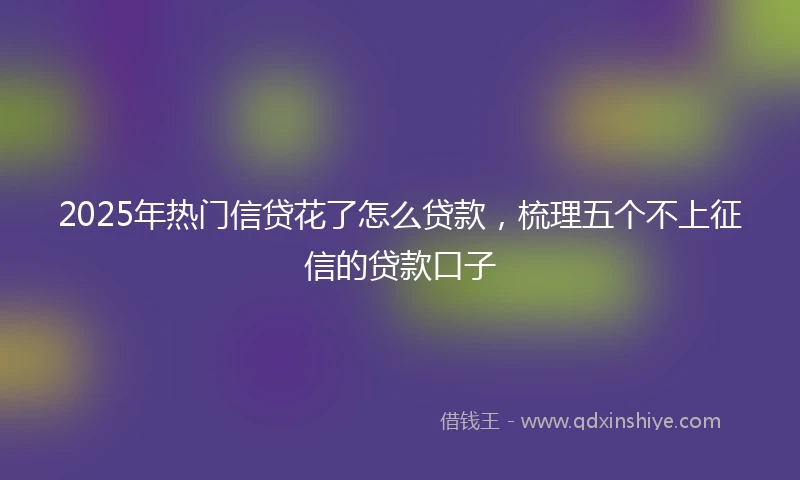2025年热门信贷花了怎么贷款，梳理五个不上征信的贷款口子