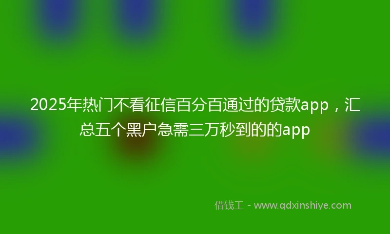 2025年热门不看征信百分百通过的贷款app，汇总五个黑户急需三万秒到的的app