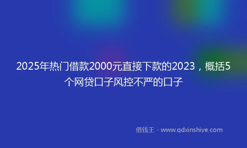 2025年热门借款2000元直接下款的2023，概括5个网贷口子风控不严的口子