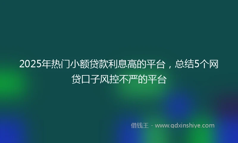 2025年热门小额贷款利息高的平台，总结5个网贷口子风控不严的平台