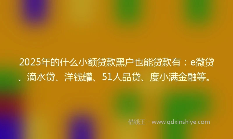 2025年的什么小额贷款黑户也能贷款有：e微贷、滴水贷、洋钱罐、51人品贷、度小满金融等。