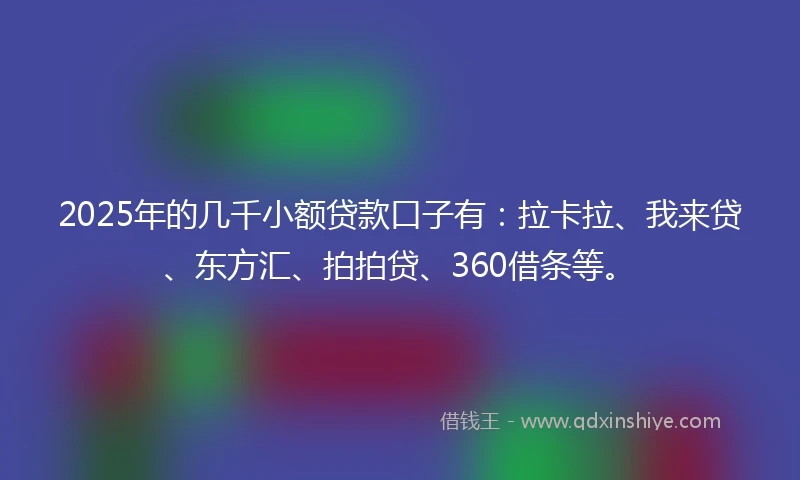 2025年的几千小额贷款口子有：拉卡拉、我来贷、东方汇、拍拍贷、360借条等。