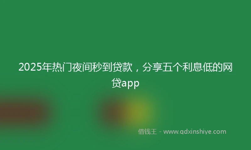 2025年热门夜间秒到贷款，分享五个利息低的网贷app