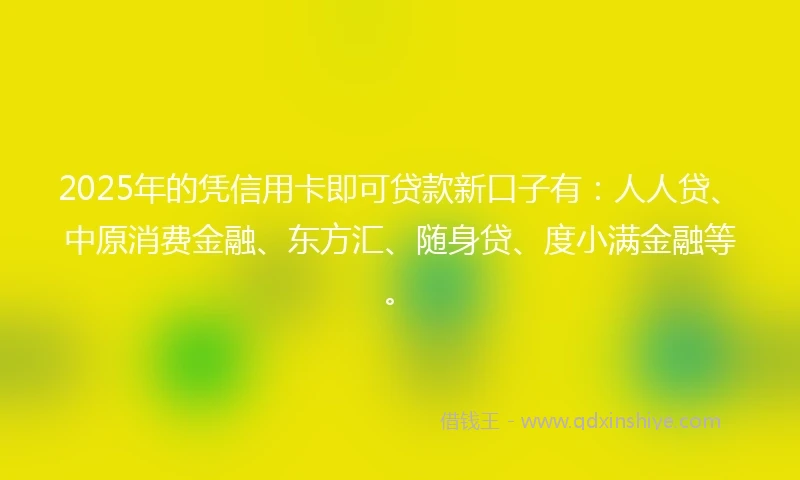 2025年的凭信用卡即可贷款新口子有：人人贷、中原消费金融、东方汇、随身贷、度小满金融等。