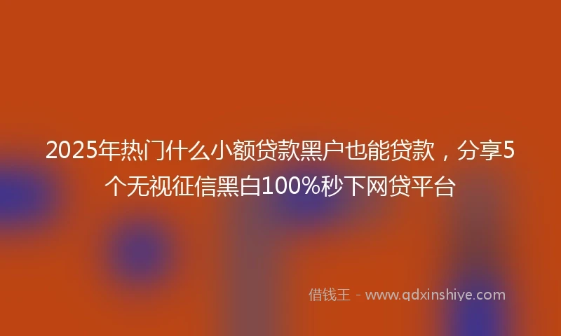 2025年热门什么小额贷款黑户也能贷款，分享5个无视征信黑白100%秒下网贷平台