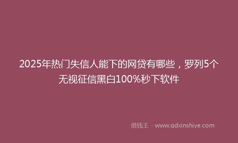 2025年热门失信人能下的网贷有哪些，罗列5个无视征信黑白100%秒下软件