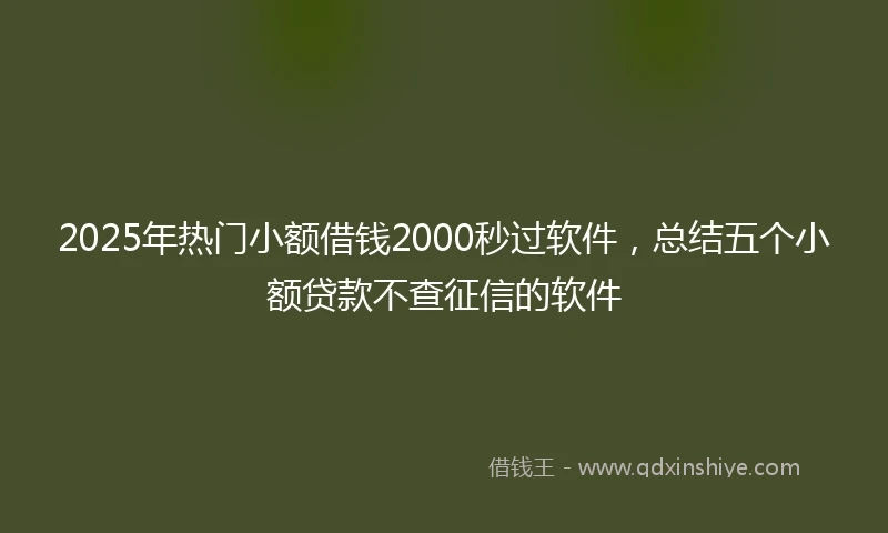 2025年热门小额借钱2000秒过软件，总结五个小额贷款不查征信的软件