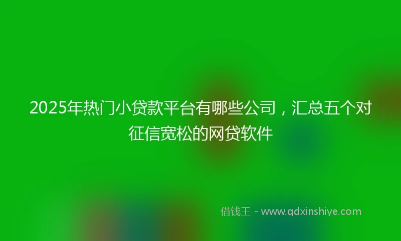 2025年热门小贷款平台有哪些公司，汇总五个对征信宽松的网贷软件