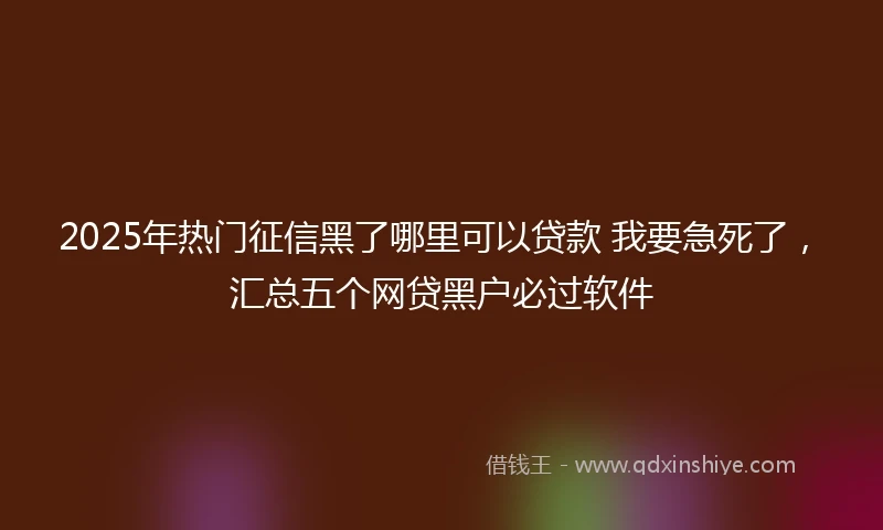2025年热门征信黑了哪里可以贷款 我要急死了，汇总五个网贷黑户必过软件