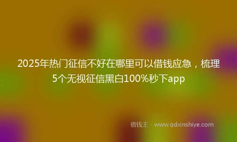 2025年热门征信不好在哪里可以借钱应急，梳理5个无视征信黑白100%秒下app