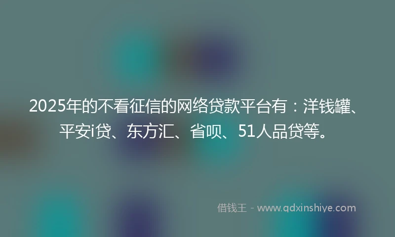 2025年的不看征信的网络贷款平台有：洋钱罐、平安i贷、东方汇、省呗、51人品贷等。