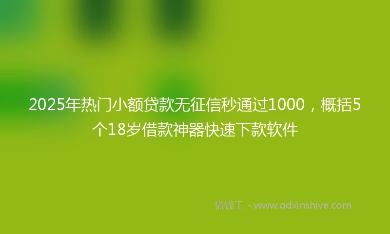 2025年热门小额贷款无征信秒通过1000，概括5个18岁借款神器快速下款软件